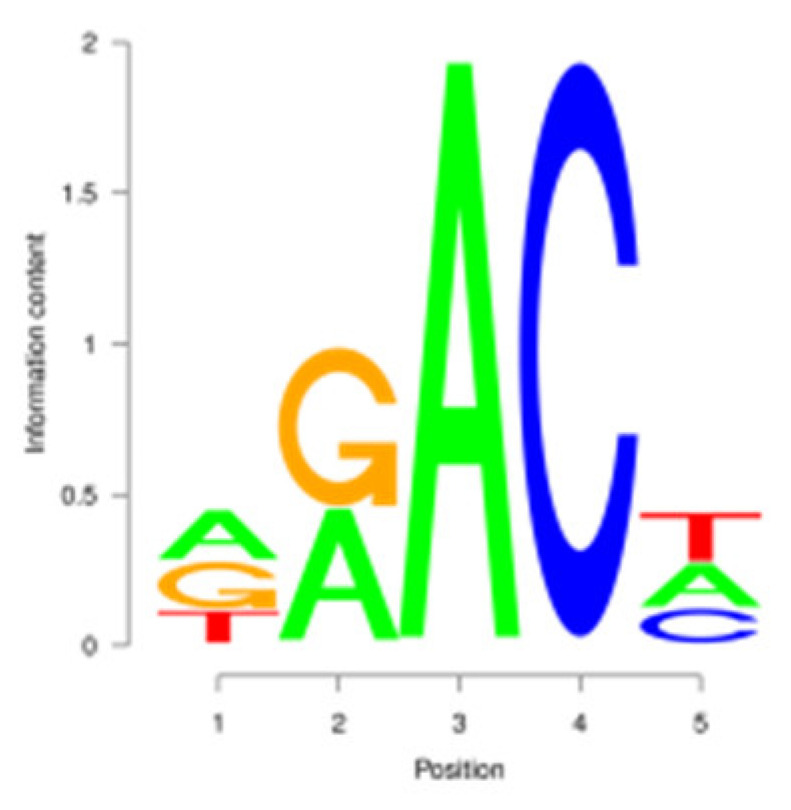 Figure 12