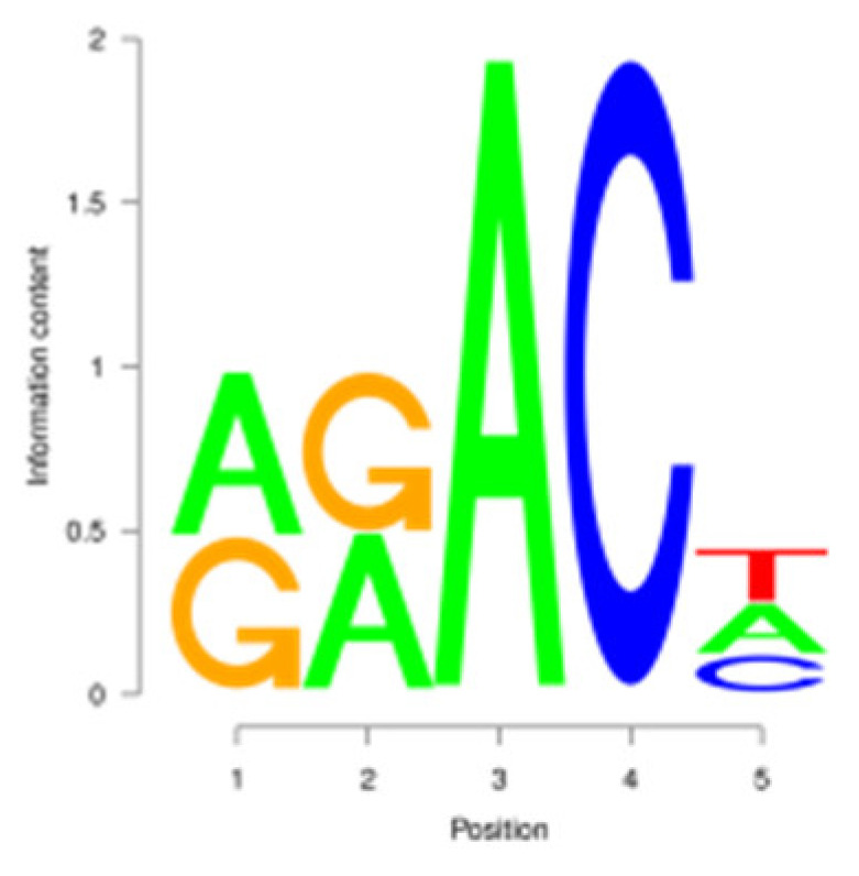 Figure 13