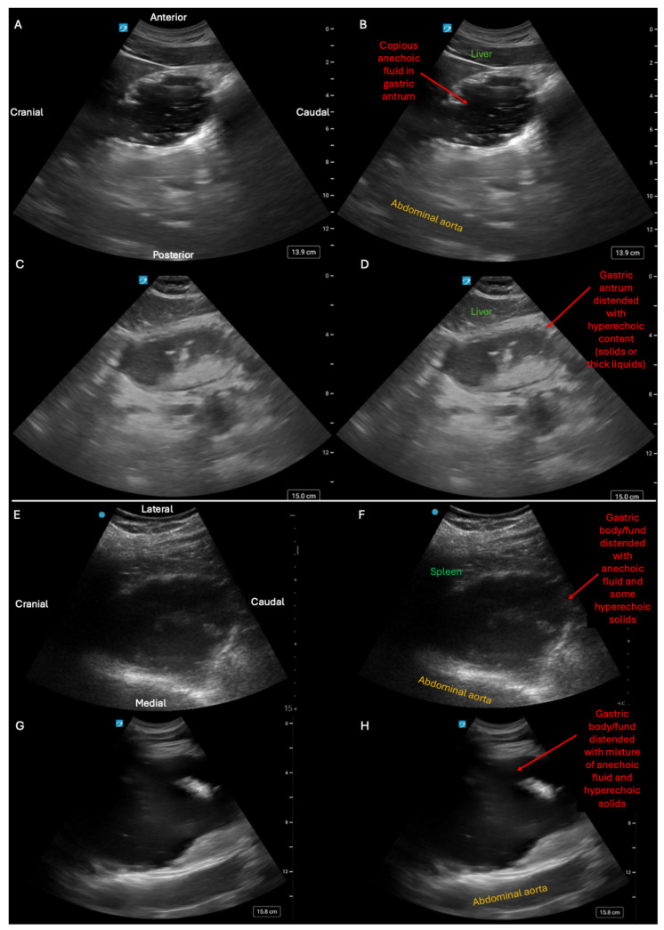 Figure 7