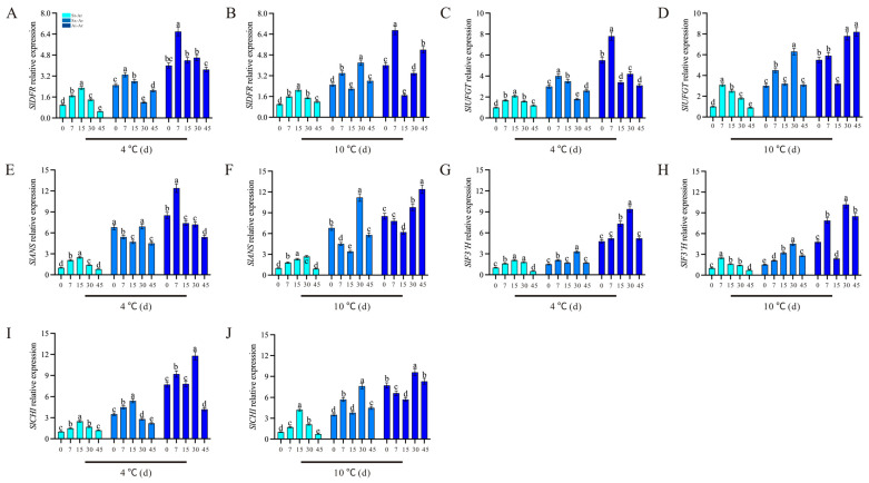 Figure 10