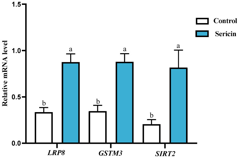 Figure 7
