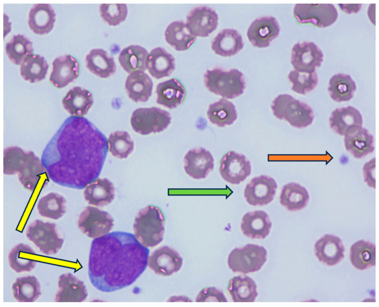 Figure 2