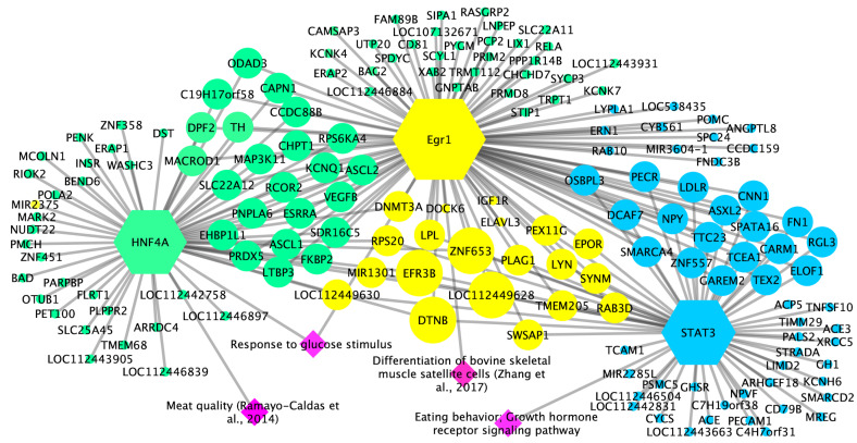Figure 6