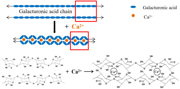 Figure 13