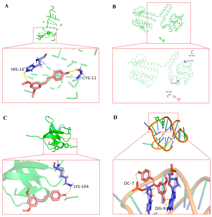 Figure 7