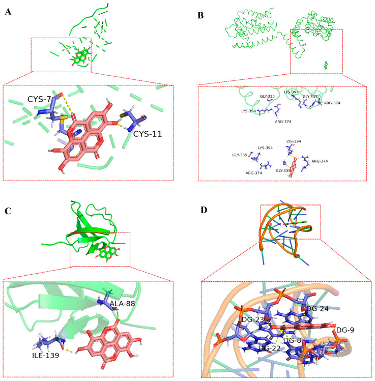 Figure 9