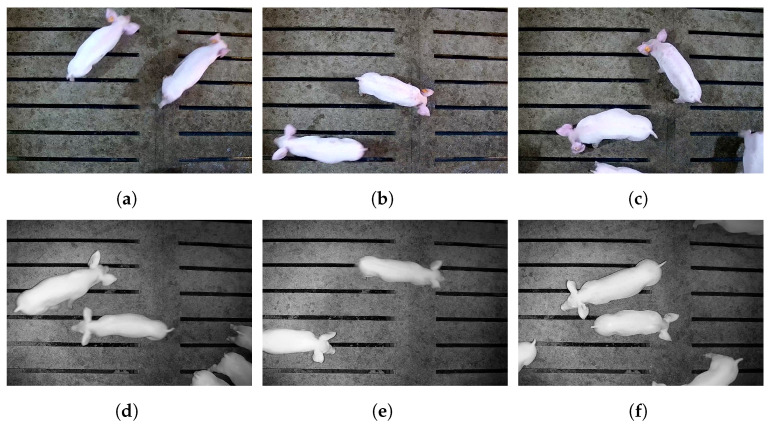 Figure 2