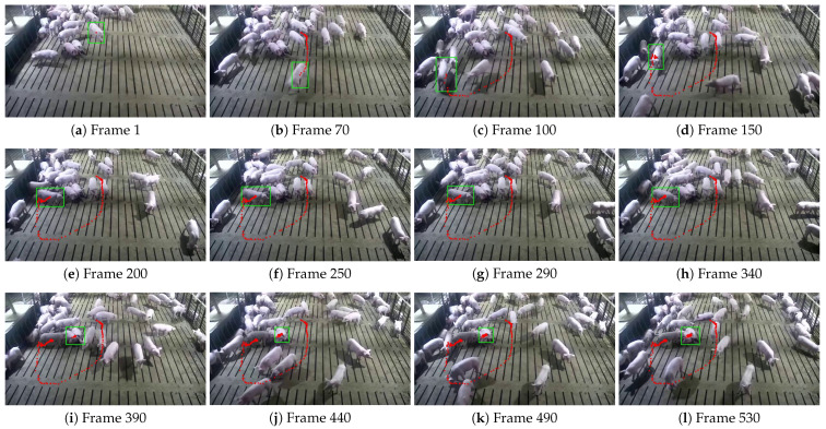 Figure 13