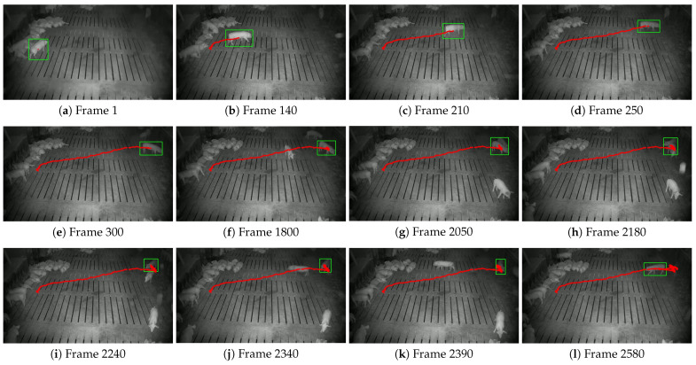Figure 15