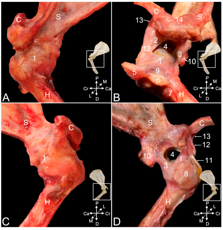 Figure 4