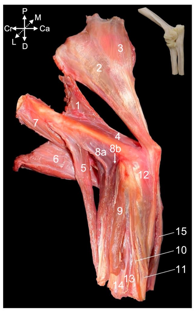Figure 10