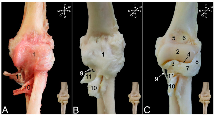 Figure 12