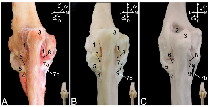 Figure 13