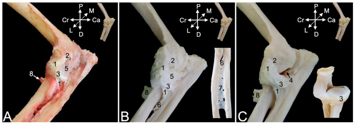 Figure 14