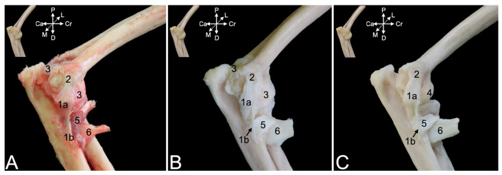 Figure 15