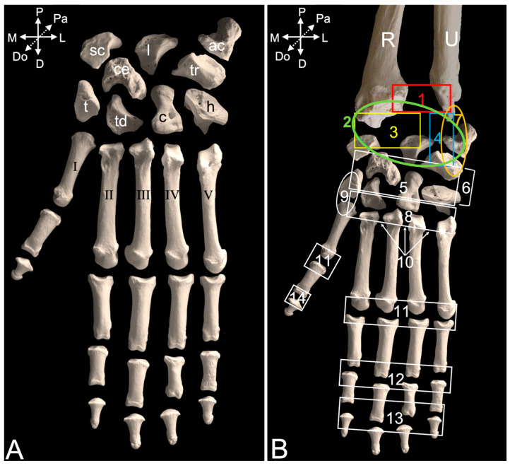 Figure 16