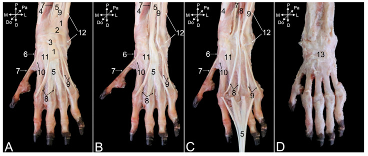 Figure 17