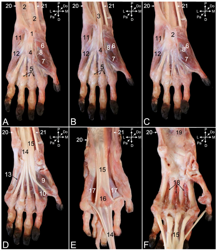 Figure 18