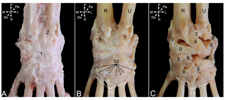 Figure 19