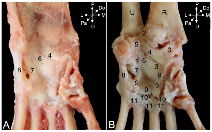 Figure 20
