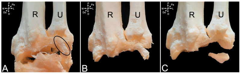 Figure 21