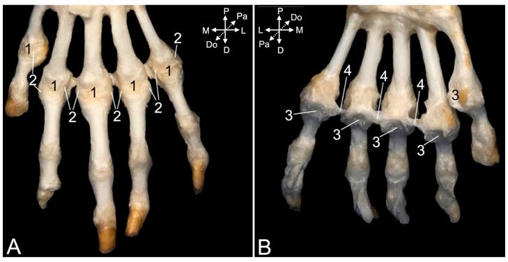 Figure 22