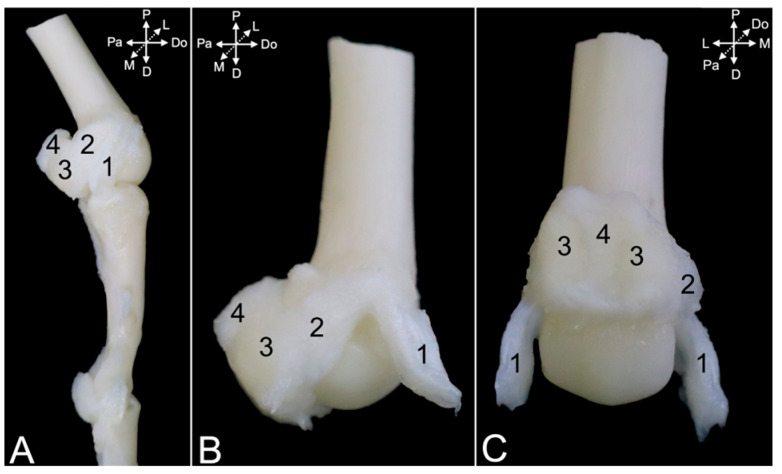 Figure 23