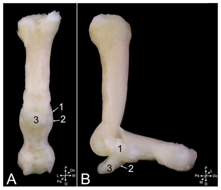 Figure 24