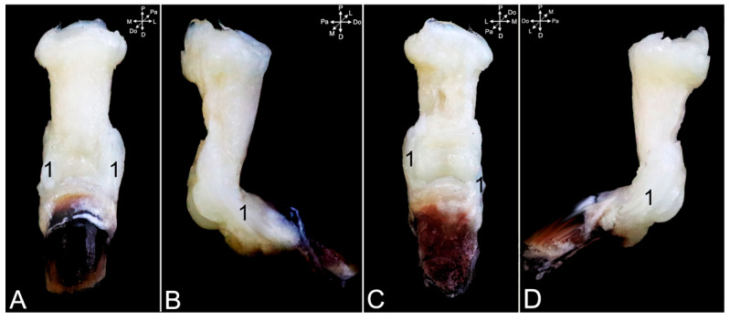 Figure 25