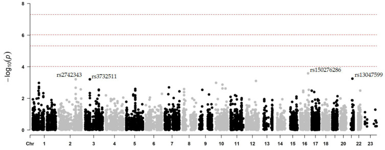 Figure 2