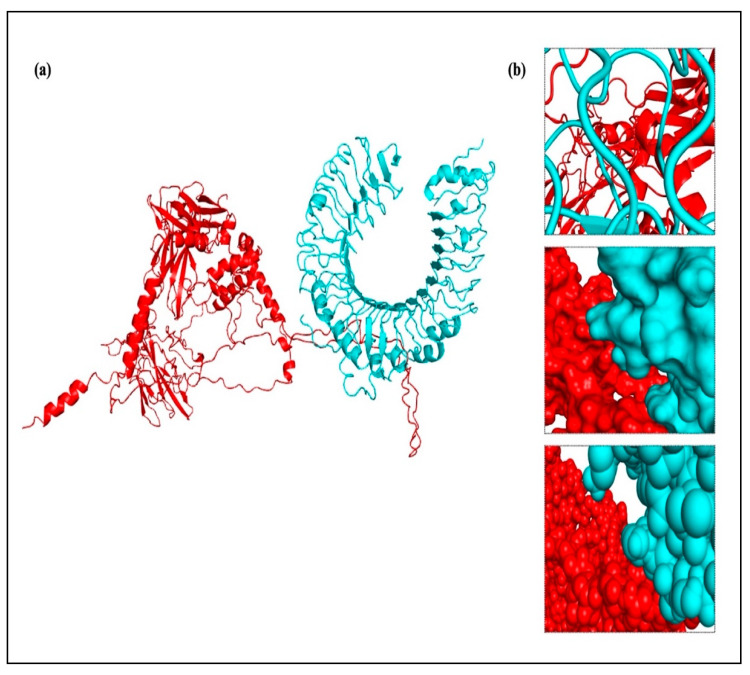 Figure 13