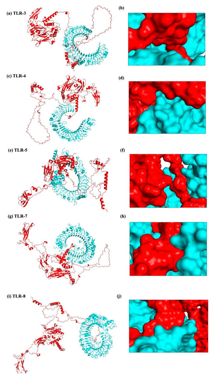 Figure 15