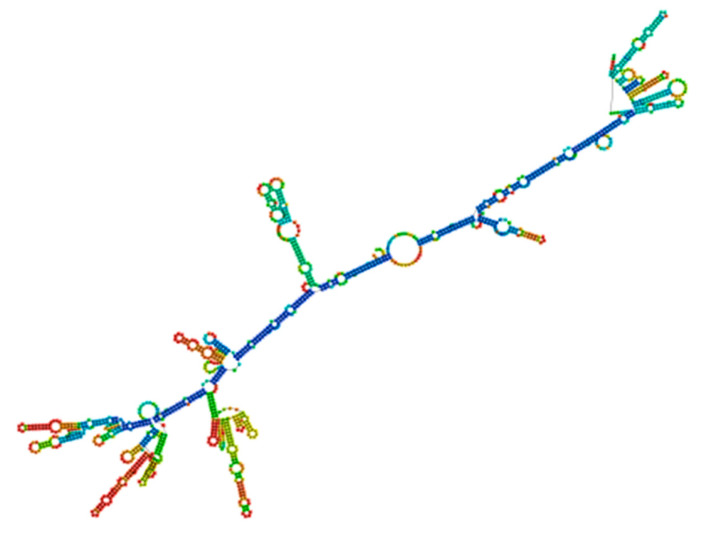 Figure 19