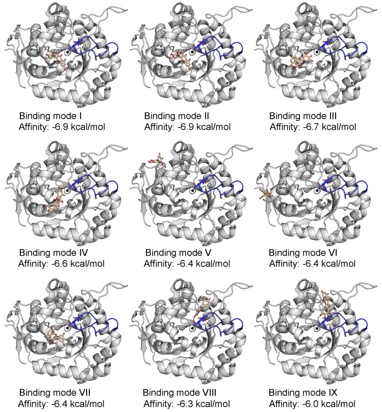 Figure 5