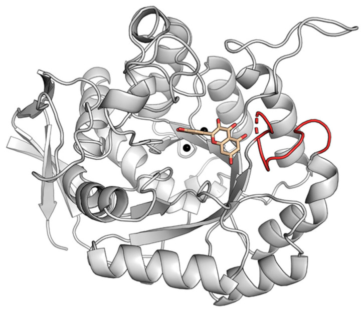 Figure 11