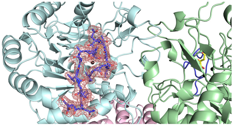 Figure 12