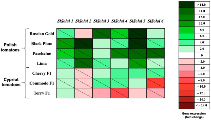 Figure 5