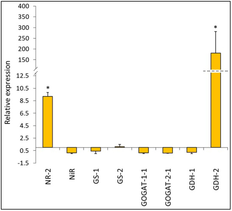 Figure 7