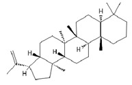 Figure 22