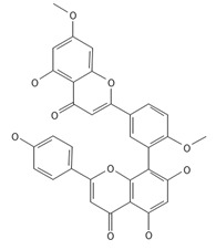 Figure 39