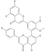Figure 41