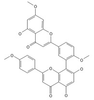 Figure 42