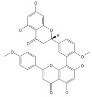 Figure 43