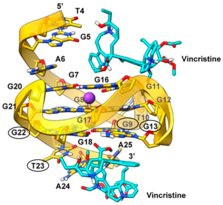 Figure 13