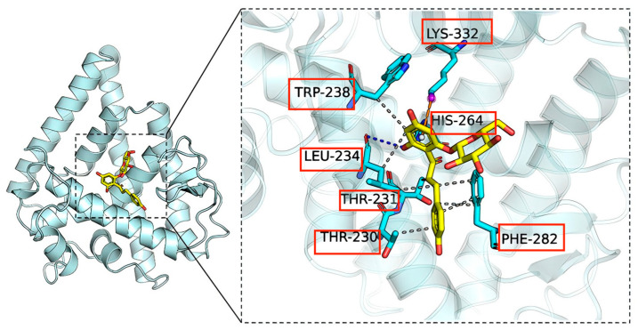 Figure 7