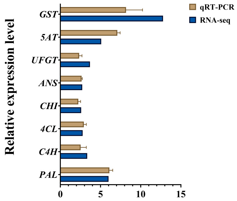 Figure 5