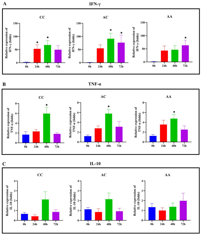 Figure 6