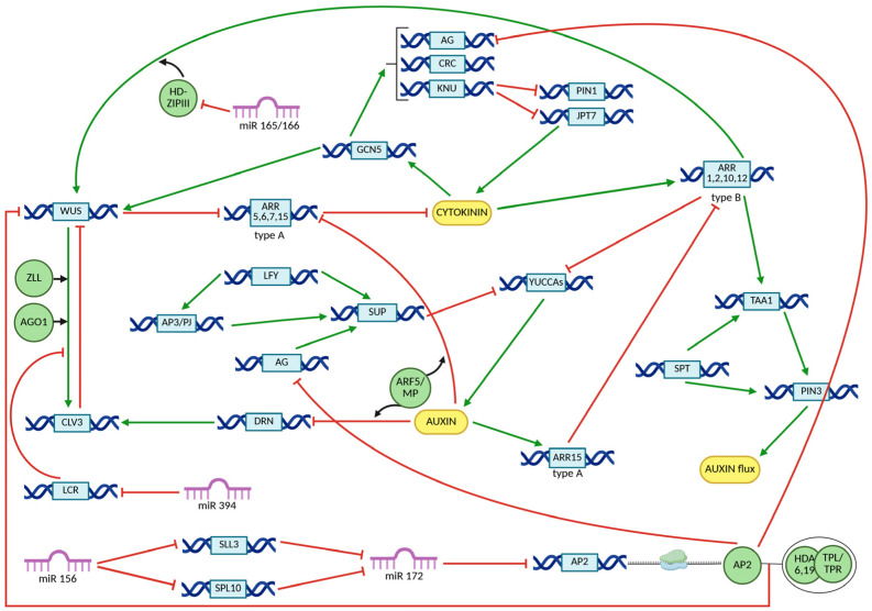 Figure 5