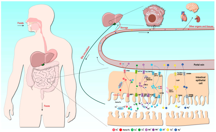 Figure 2