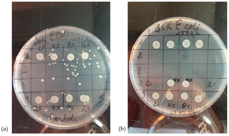 Figure 10